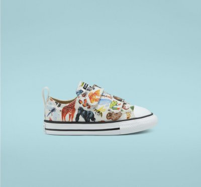 Science Class Easy-On Chuck Taylor All Star | Shop Converse Kids SHOES